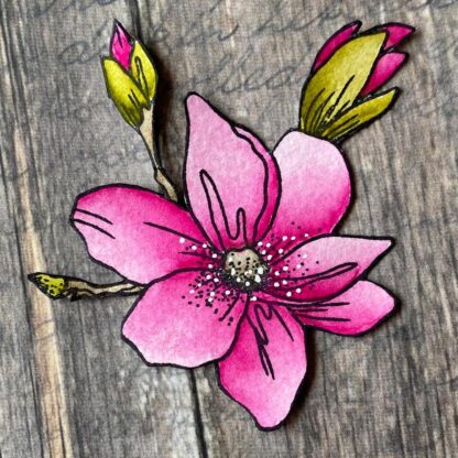 Blossom stamps CS224 - Bilde 2