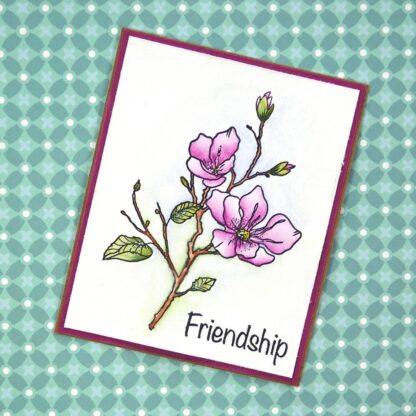 Blossom stamps CS224 - Bilde 10