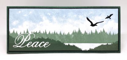 Cloudy Sky - Slimline stempel 3232-LG - Bilde 3