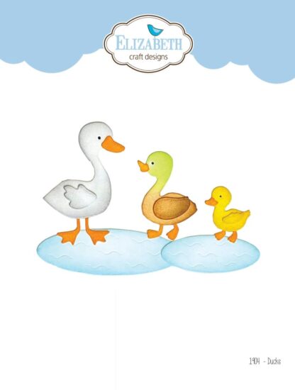 Ducks die1904