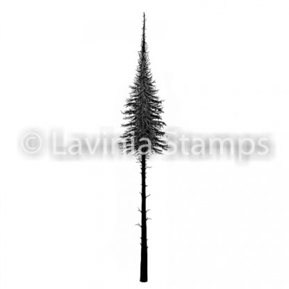 Small Fairy Fir Tree LAV489