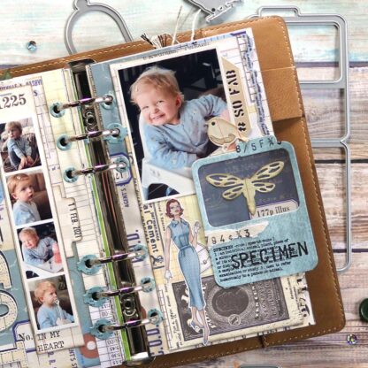 In My Garden stamps CS212 - Bilde 2