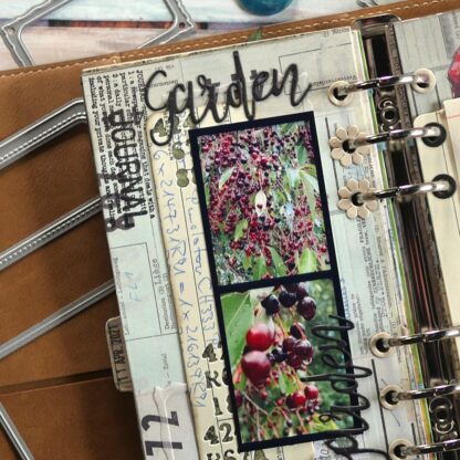 In My Garden stamps CS212 - Bilde 4