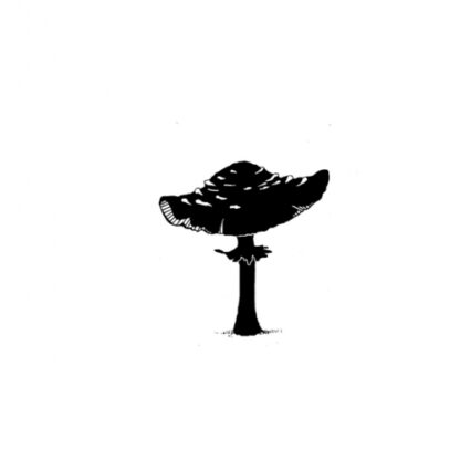 Toadstool Mini LAV216