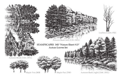 Nature Sheet 13
