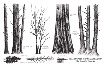 Nature Sheet 15