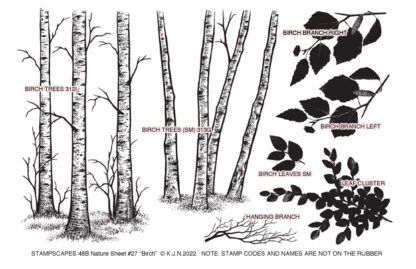 Nature Sheet 27
